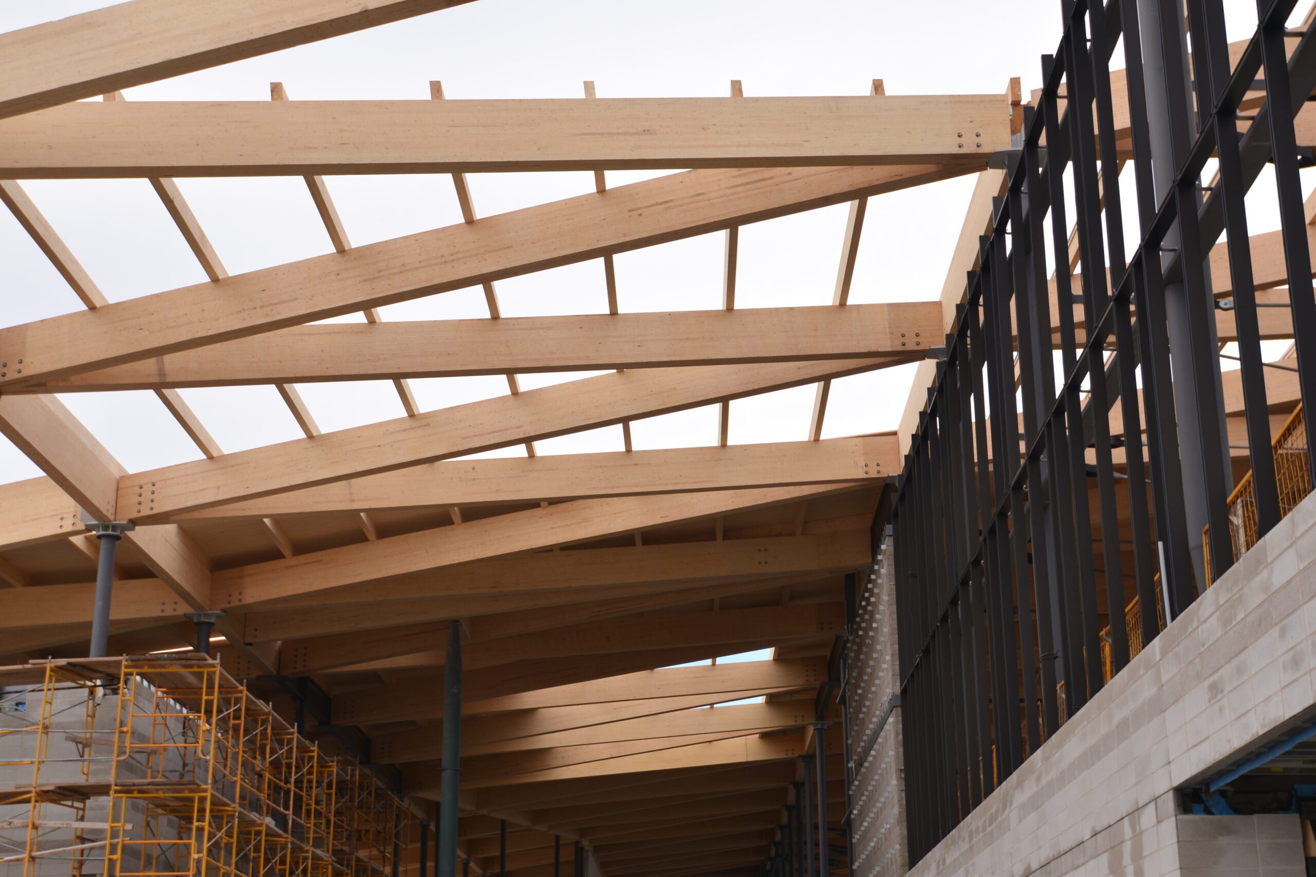 Aaniin Markham CC 2016 (11)