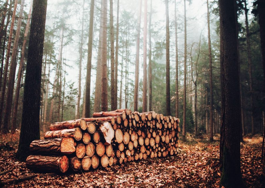 commercial-wood-benefits-building-wood