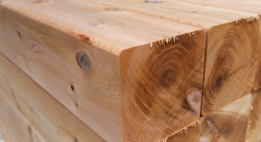 commercial-wood-solid-sawn-timber-2
