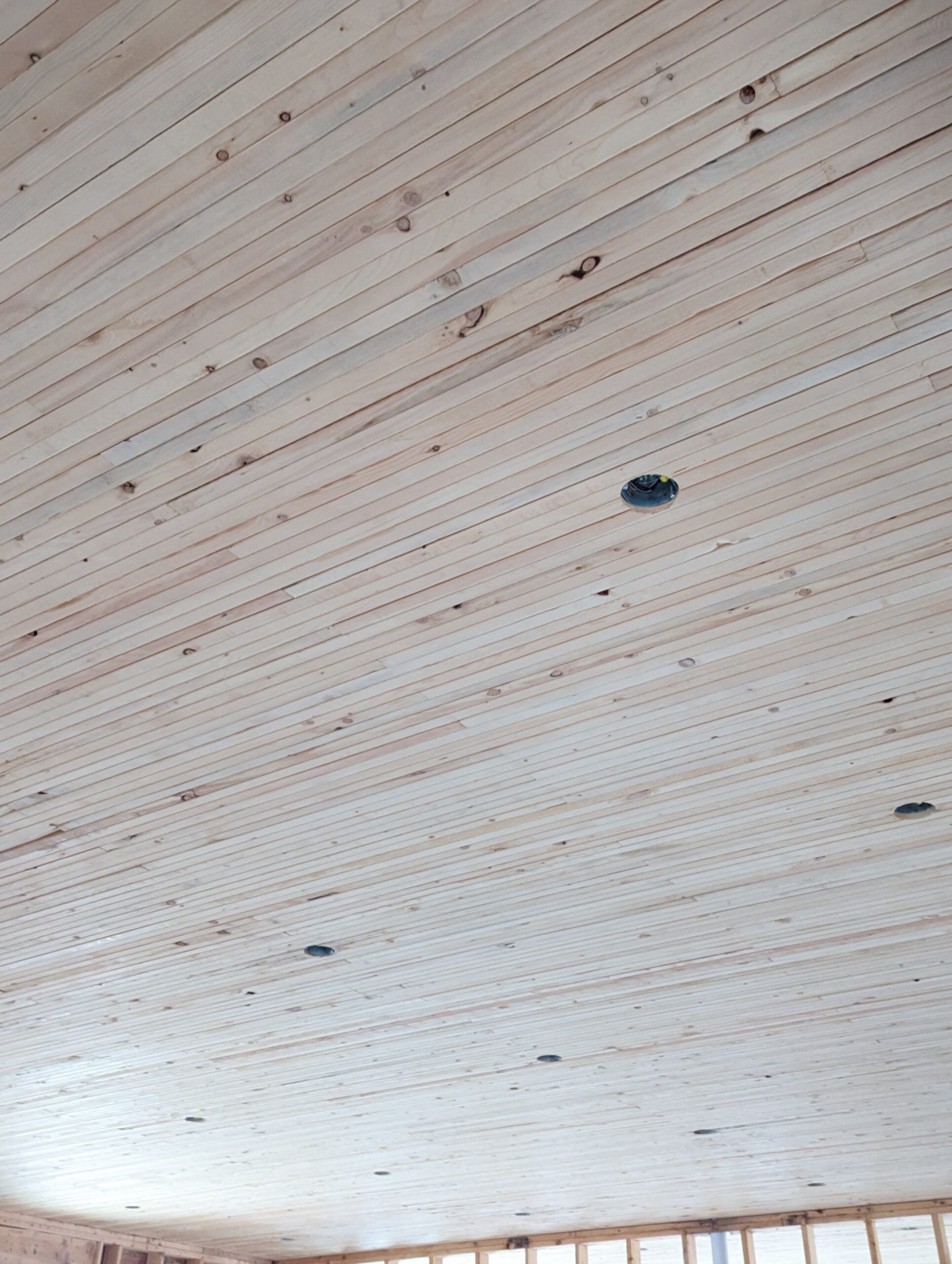 PXL_20221101_122817907