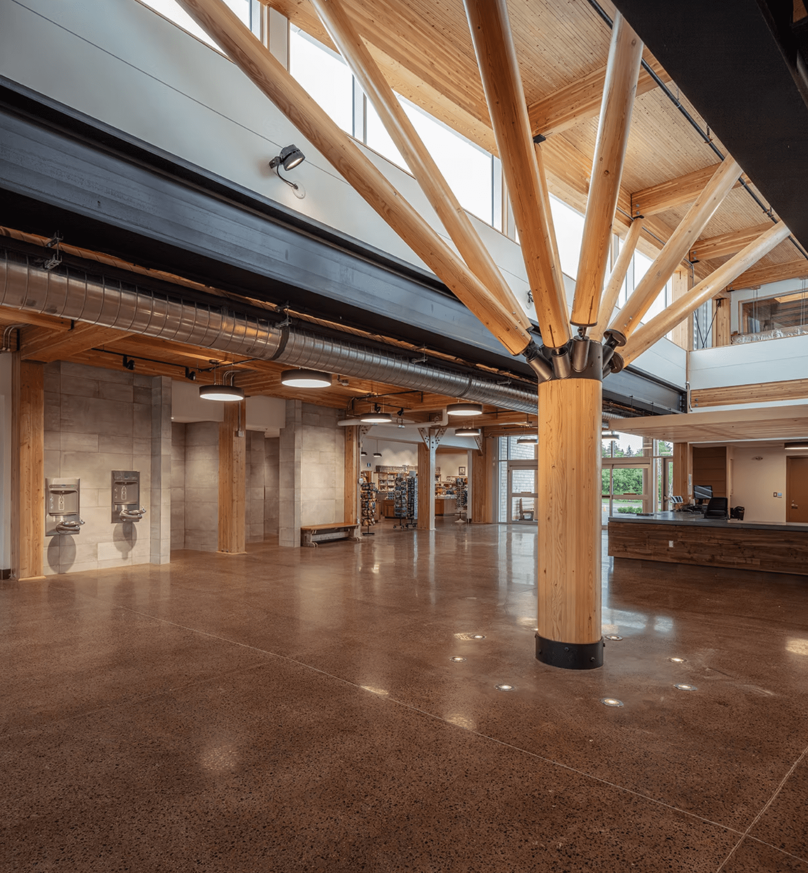 Screenshot 2025-12-17 114904