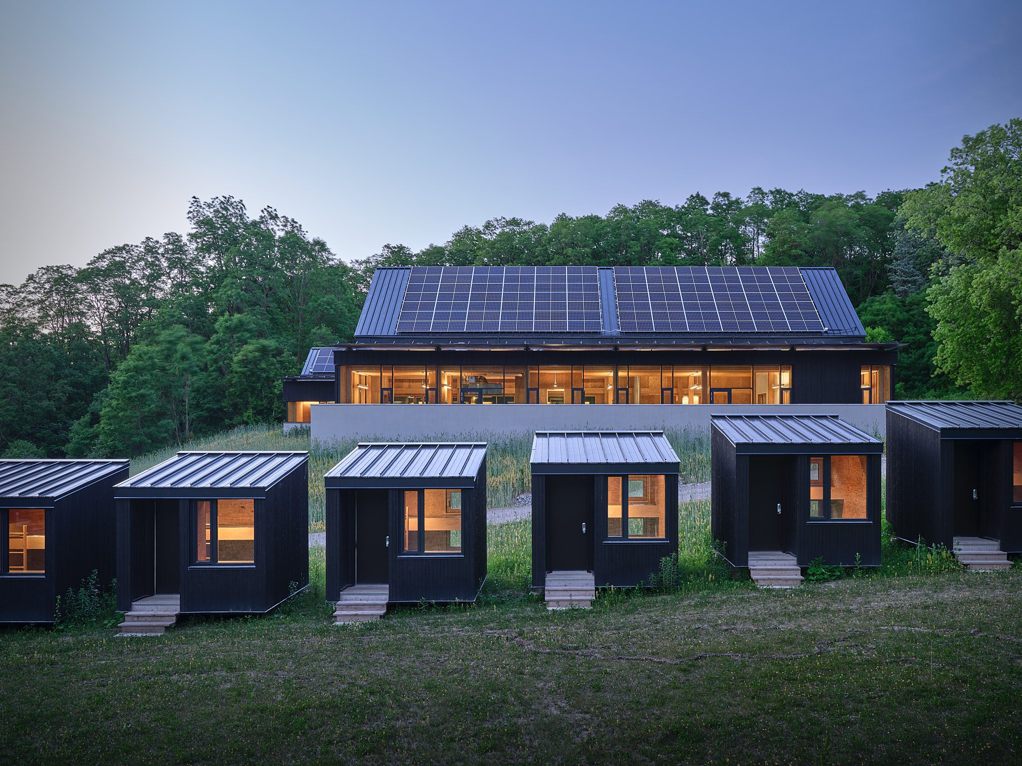 University of Toronto Koffler Scientific Reserve