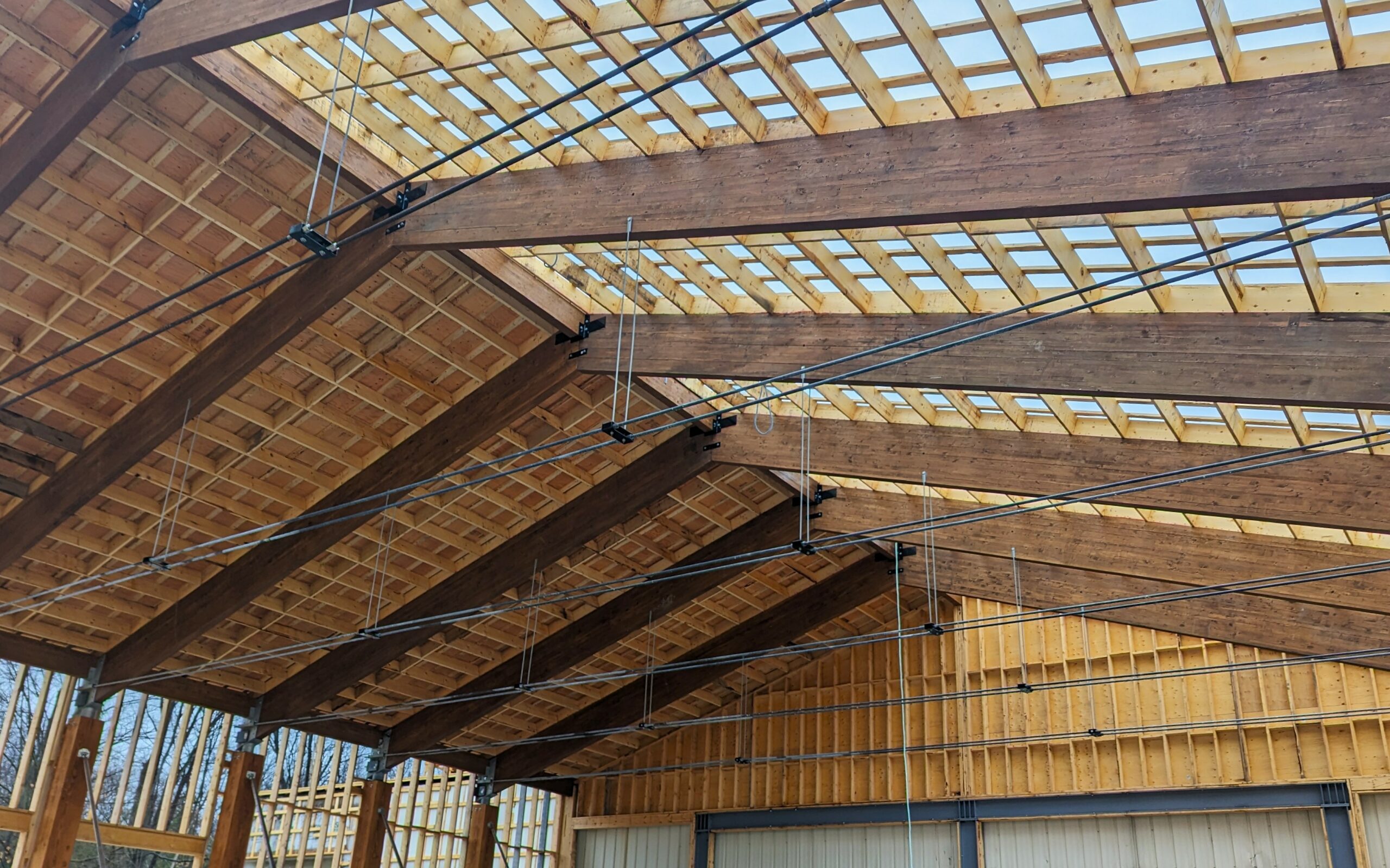 PXL_20221111_210834101